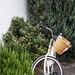 The bicycle basket by pusspup
