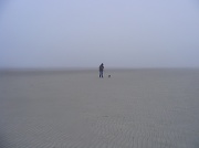2nd Jan 2011 - Low Tide, Foggy Day