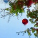 Balloons!  by louannwarren