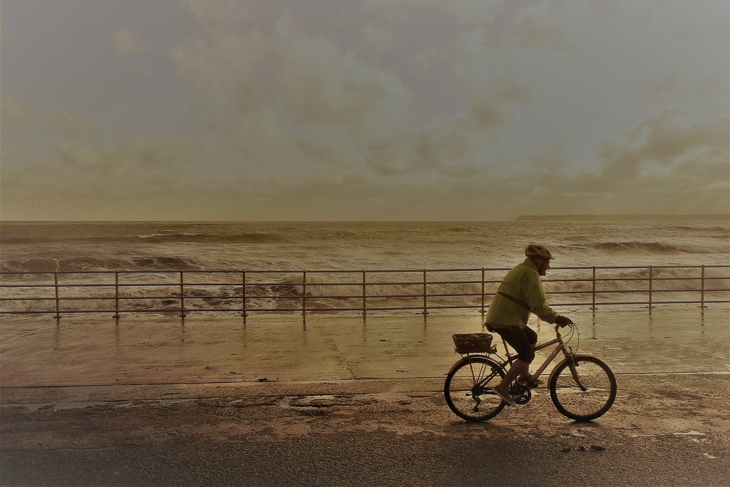 Lone Cyclist by cookingkaren