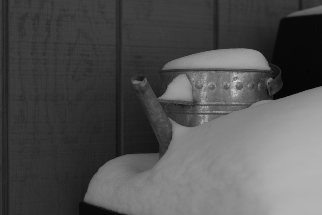 Snow covered watering can.  by meemakelley