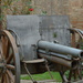 The cannon and the rose by caterina