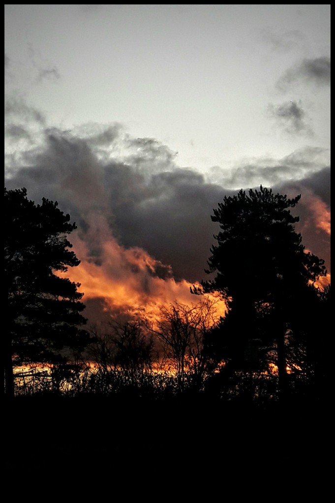 Firery sunset  by jokristina