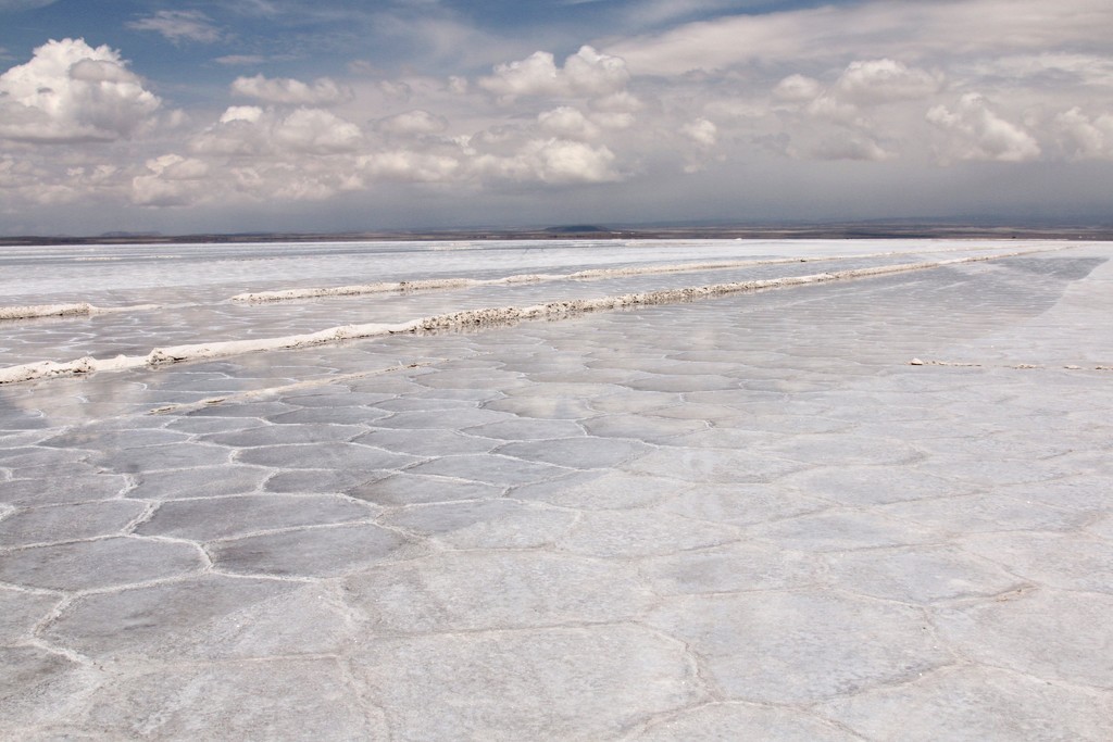 January2018-13 Bolivia 3...Salar de Uyuni by jqf