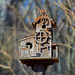 Neighbor's Birdhouse by dsp2