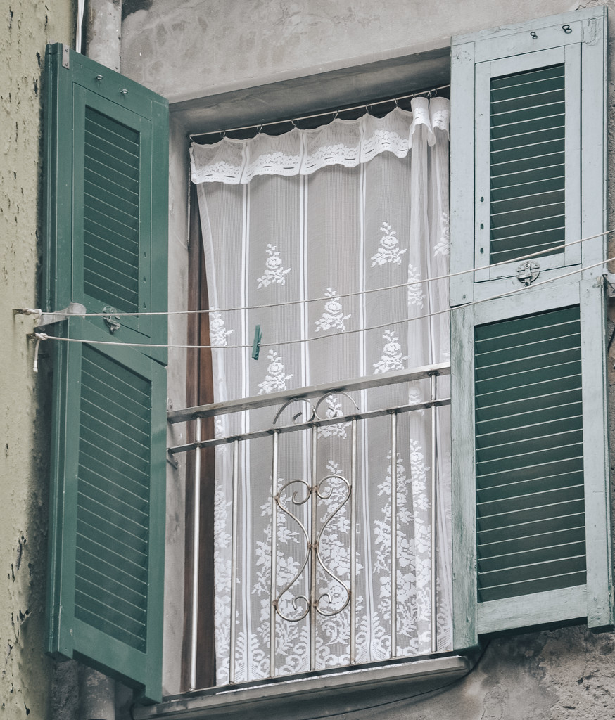 Lace window by brigette