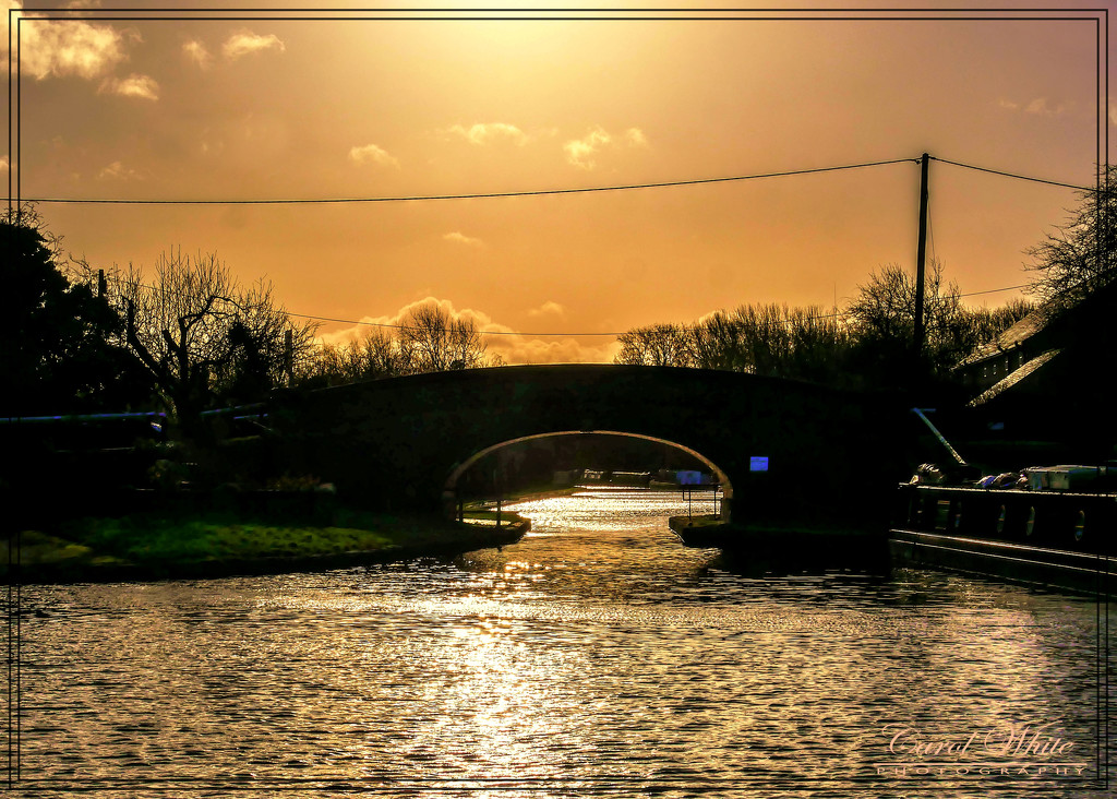 Silhouetted Canal Bridge,Gayton (best viewed on black) by carolmw