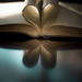 Book Love by bokehdot