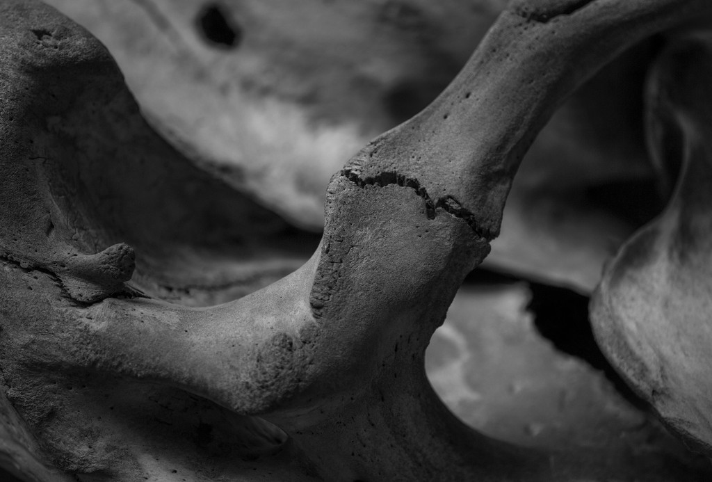 Skull cavern by dulciknit