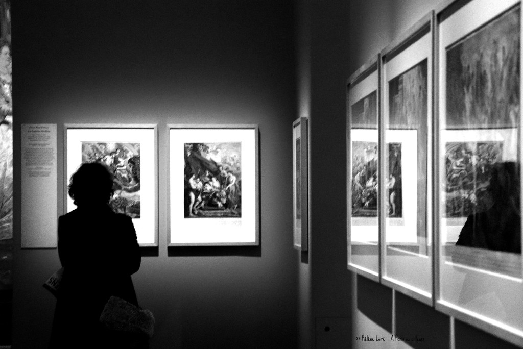  photo 2788 Rubens exhibition #2 by parisouailleurs