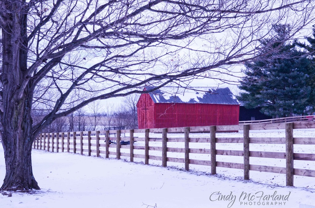 Red Barn in the Snow by cindymc