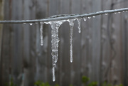 16th Jan 2018 - Icicles! 