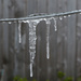 Icicles!  by ingrid01