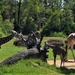 At An African Safari Park ~ by happysnaps