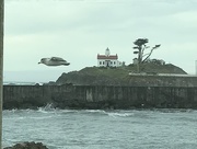 17th Jan 2018 - A fly by of Battery Point 