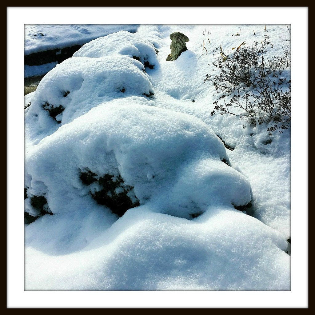 Snow Bunny by yogiw