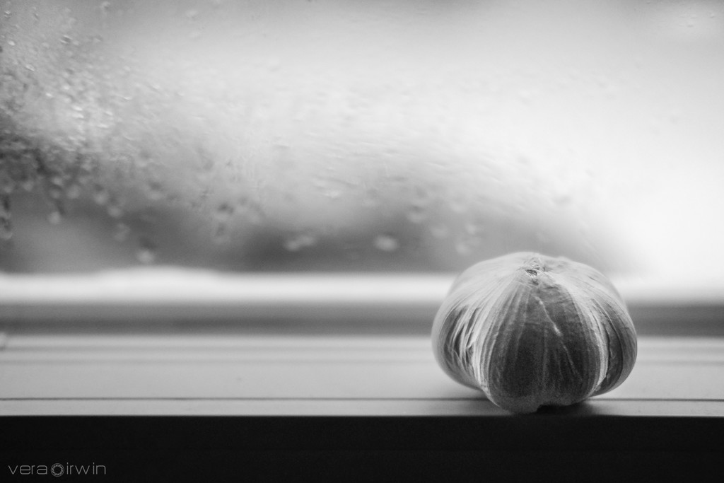 Garlic by vera365