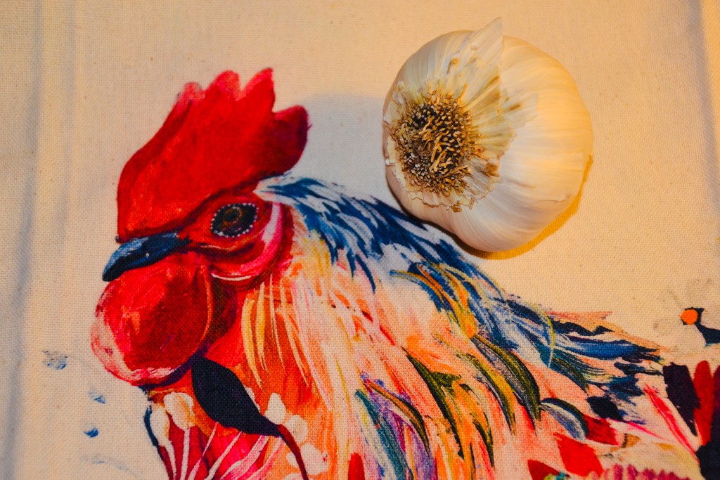 The Rooster and the Garlic by louannwarren