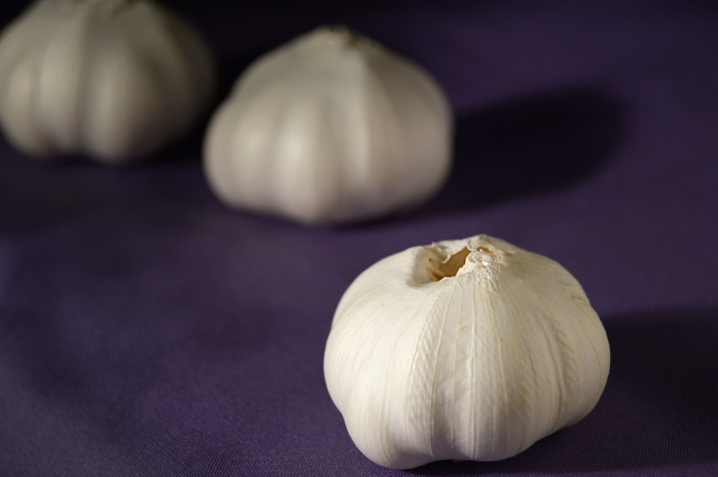 Garlic on purple by francoise