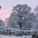 Red sky in the morning by shirleybankfarm