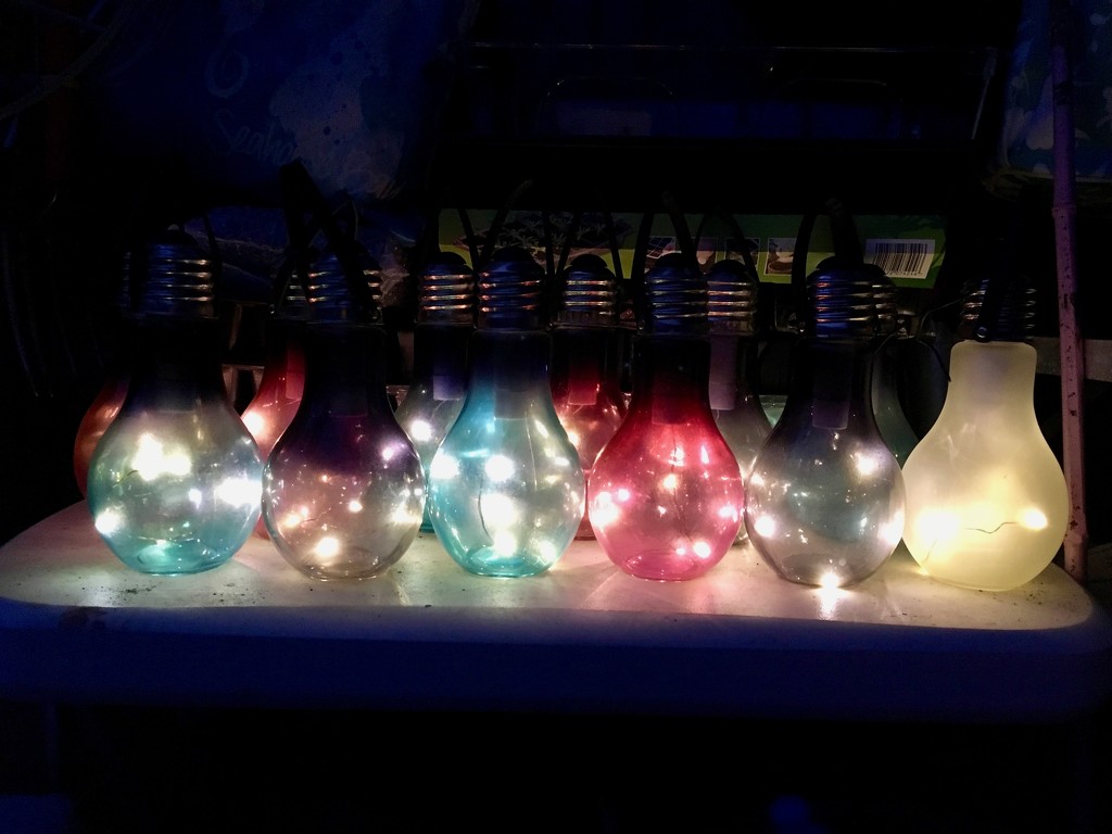 Light bulbs by 365projectmaxine