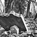 Jewish cemetery 2 by caterina