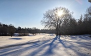 14th Jan 2018 - snowy golf course