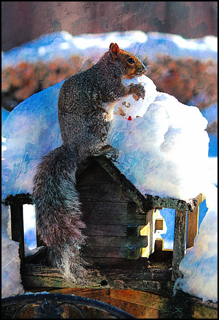 Artist Challenge- Whistler's Squirrel by olivetreeann