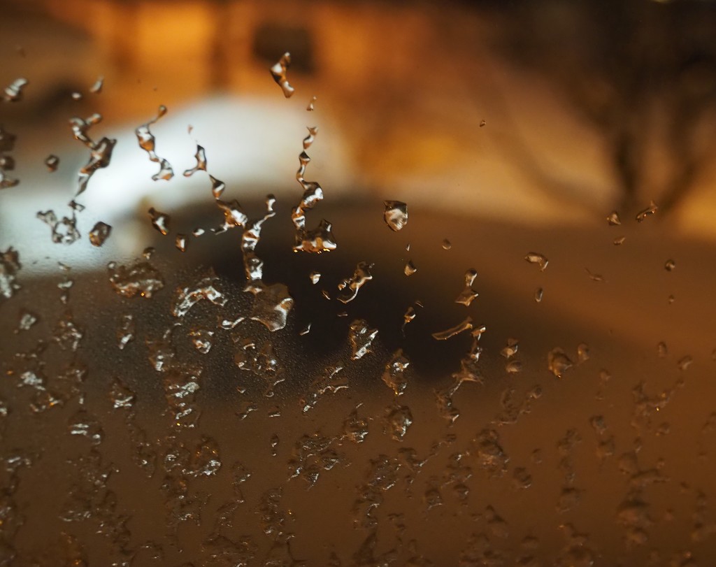 Frozen Drops on the Window by selkie