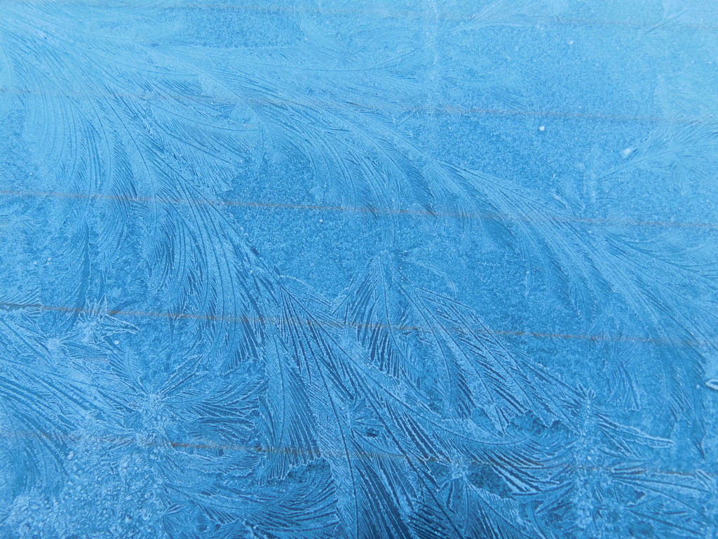  Ice feathers on the car windscreen this morning! by 365anne