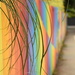 Rainbow Fence by nickspicsnz