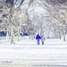 A Walk in the Snow by cindymc