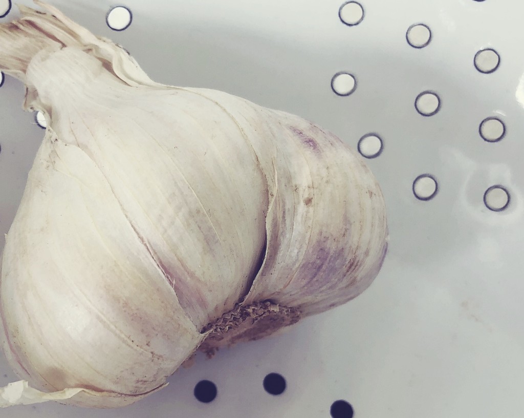 New season garlic. Yum by brigette
