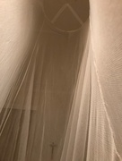 10th Jan 2018 - My First Mosquito Net