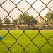 (Day 339) - Field of Dreams by cjphoto