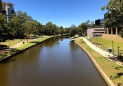 20th Jan 2018 - Parramatta River