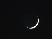 19th Jan 2018 - Evening Moon