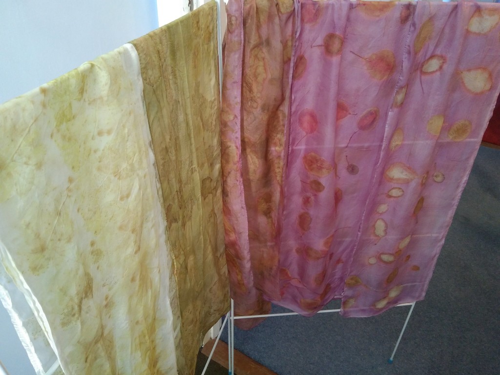New ecoprinted and naturally-dyed silk scarves by cpw