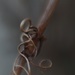 Day 20 ....... Of Lensbaby by motherjane