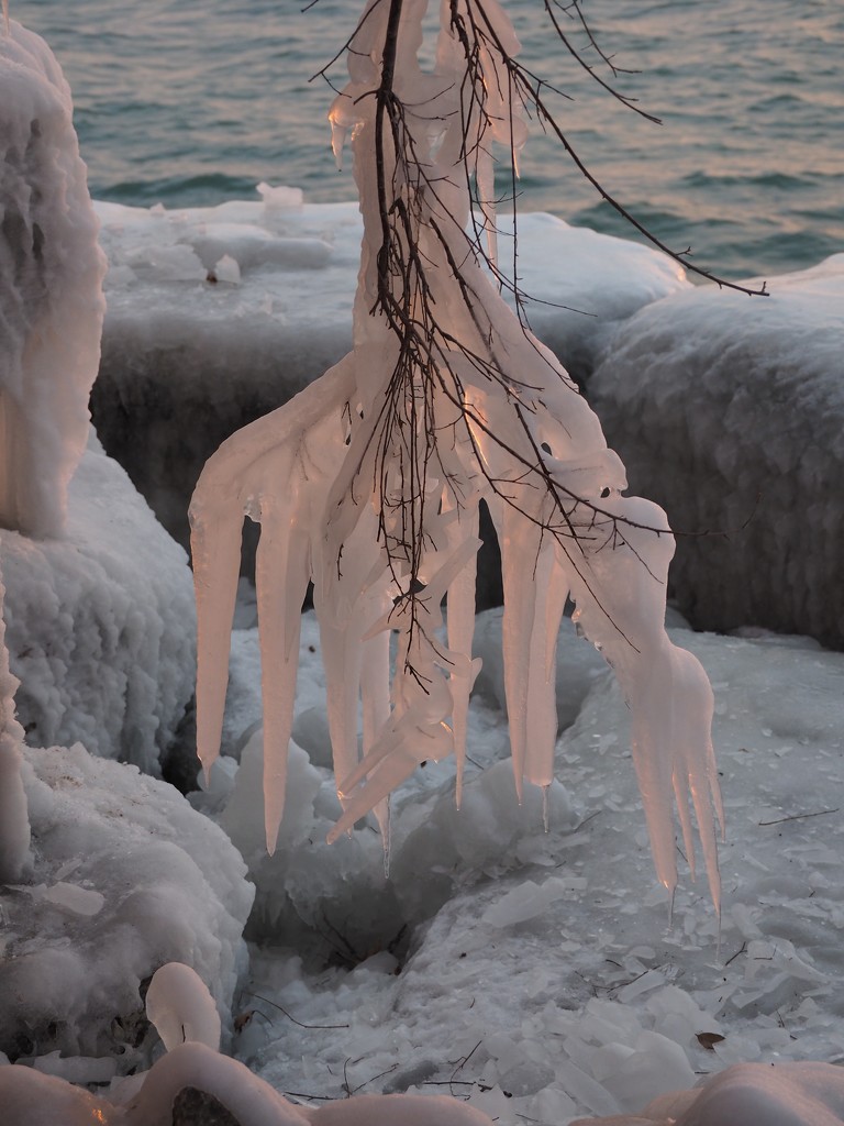 Ice Fork by selkie