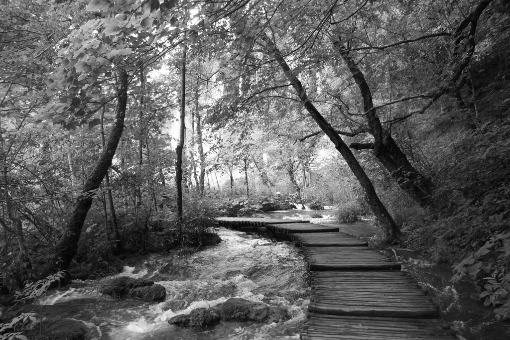 83 Plitvice in Black and White by travel