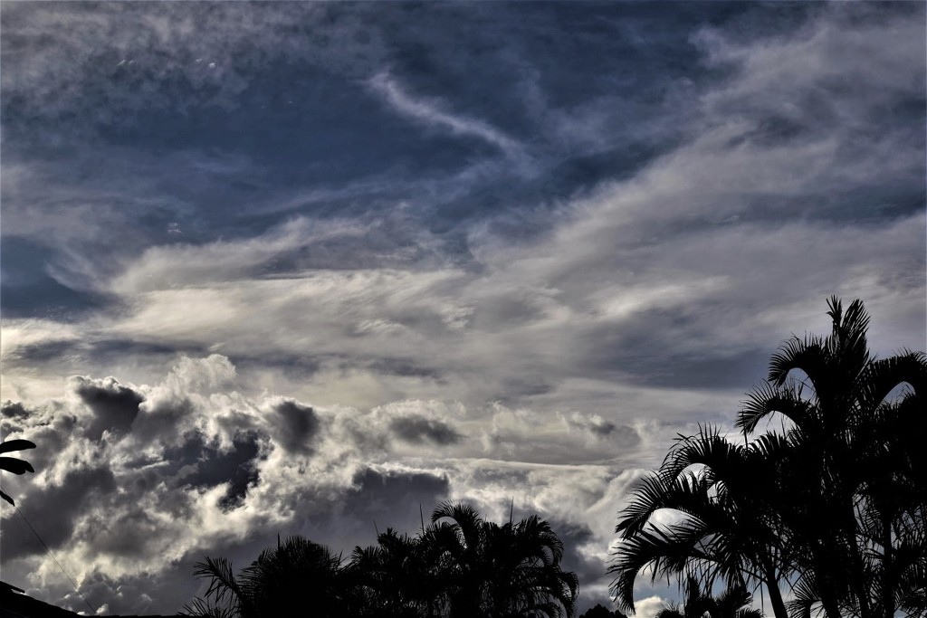 Late Evening Tropical Sky ~ by happysnaps
