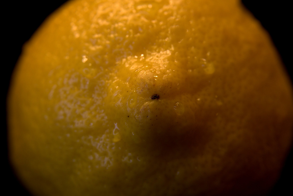 Day 127:  Lemon by sheilalorson