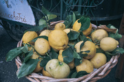 21st Jan 2018 - A basket of lemons