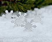 22nd Jan 2018 - Snowflakes.