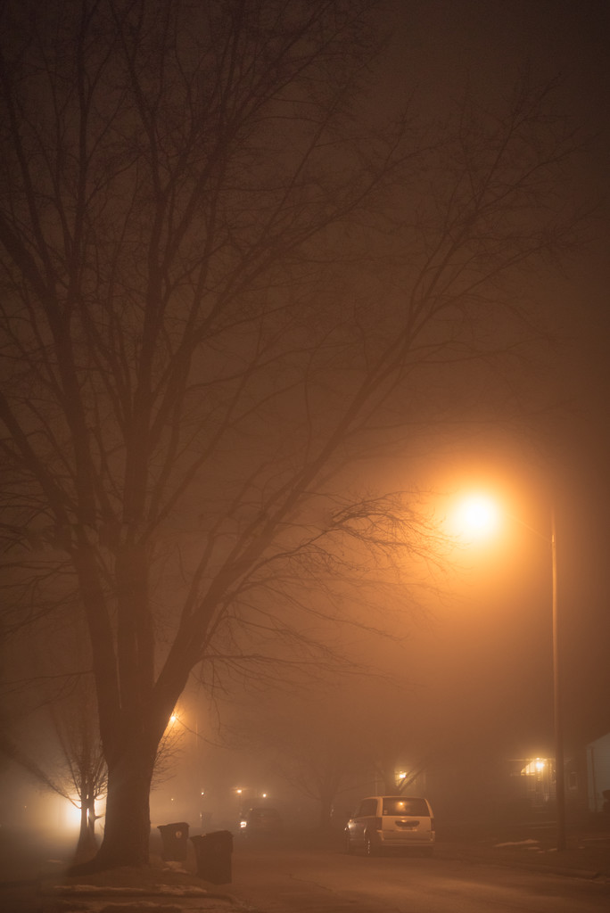 foggy, foggy night by jackies365
