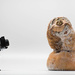 Storm Trooper Photographs a Surprise Finding by jyokota