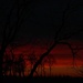 "Red Sky At Morning..." by bjchipman