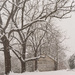 Snowing on trees and shed by randystreat
