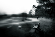 22nd Jan 2018 - lensbaby - a walk in the park